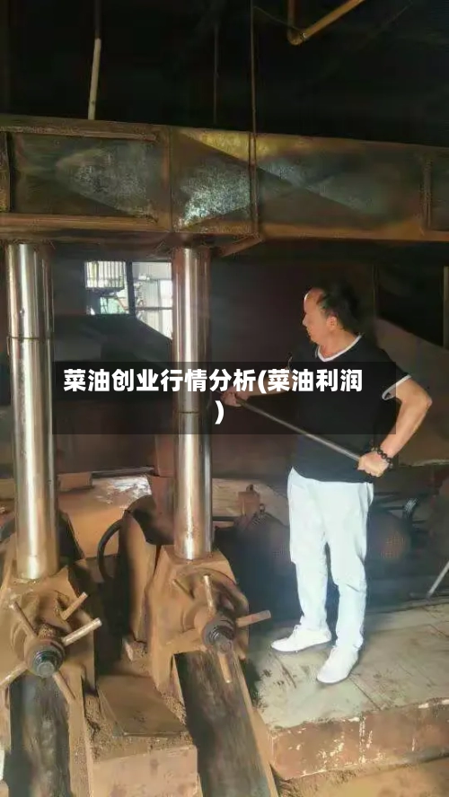 菜油创业行情分析(菜油利润)