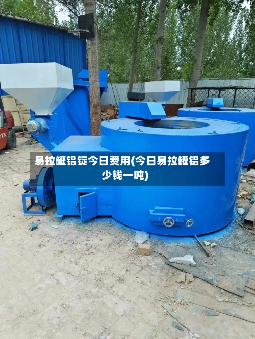 易拉罐铝锭今日费用(今日易拉罐铝多少钱一吨)