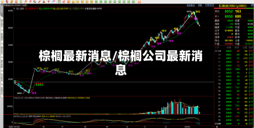 棕榈最新消息/棕榈公司最新消息