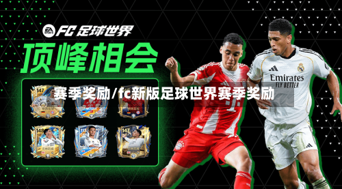 赛季奖励/fc新版足球世界赛季奖励-第2张图片