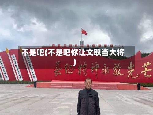 不是吧(不是吧你让文职当大将)-第2张图片
