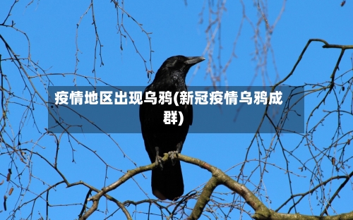 疫情地区出现乌鸦(新冠疫情乌鸦成群)