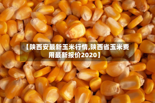 【陕西安最新玉米行情,陕西省玉米费用最新报价2020】-第2张图片