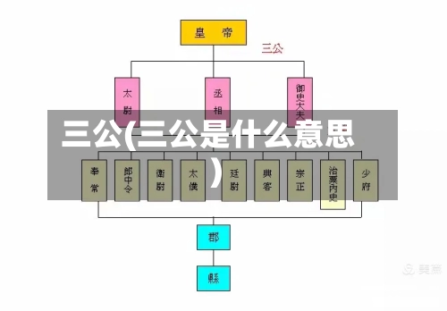 三公(三公是什么意思)