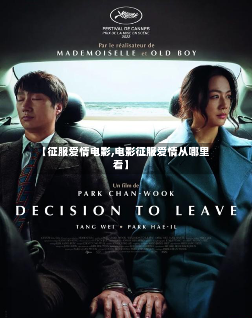 【征服爱情电影,电影征服爱情从哪里看】-第2张图片
