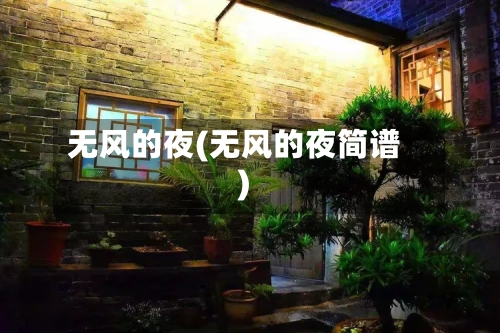 无风的夜(无风的夜简谱)