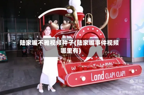陆家嘴不雅视频种子(陆家嘴事件视频哪里有)