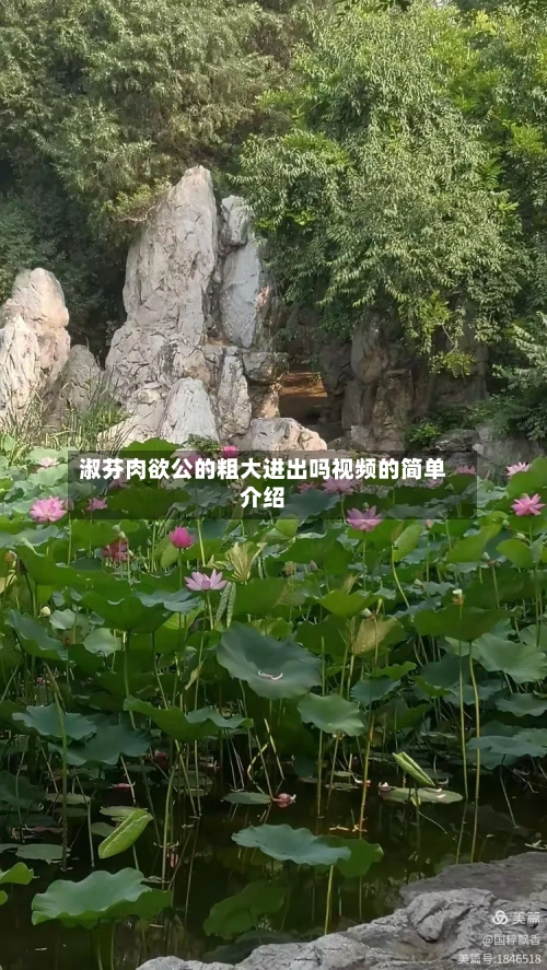 淑芬肉欲公的粗大进出吗视频的简单介绍
