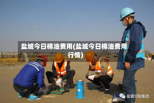盐城今日棉油费用(盐城今日棉油费用行情)-第2张图片