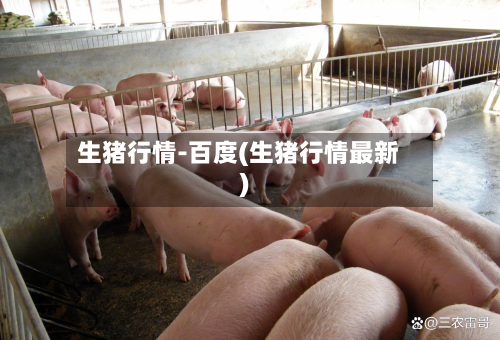 生猪行情-百度(生猪行情最新)-第3张图片