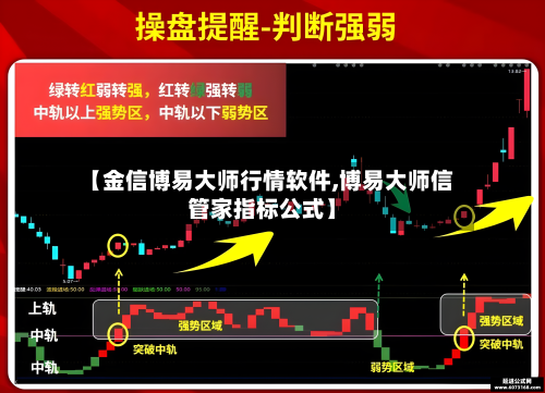 【金信博易大师行情软件,博易大师信管家指标公式】-第2张图片