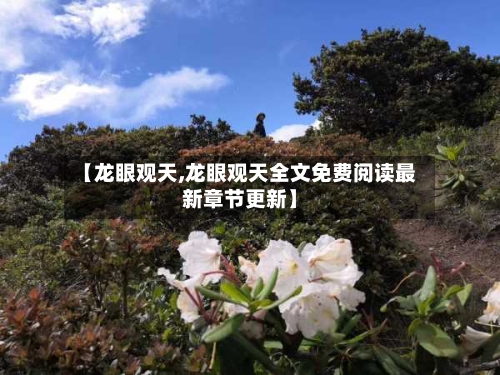 【龙眼观天,龙眼观天全文免费阅读最新章节更新】
