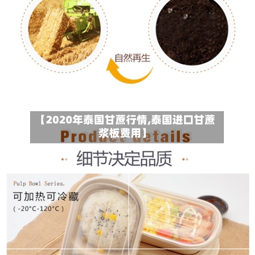【2020年泰国甘蔗行情,泰国进口甘蔗浆板费用】
