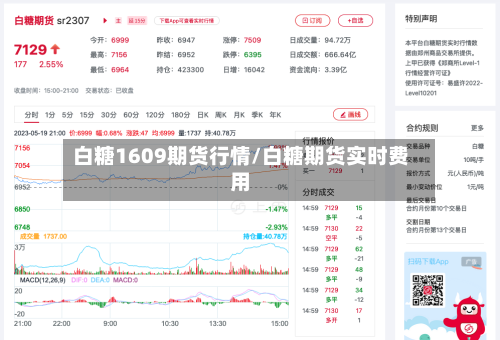 白糖1609期货行情/白糖期货实时费用