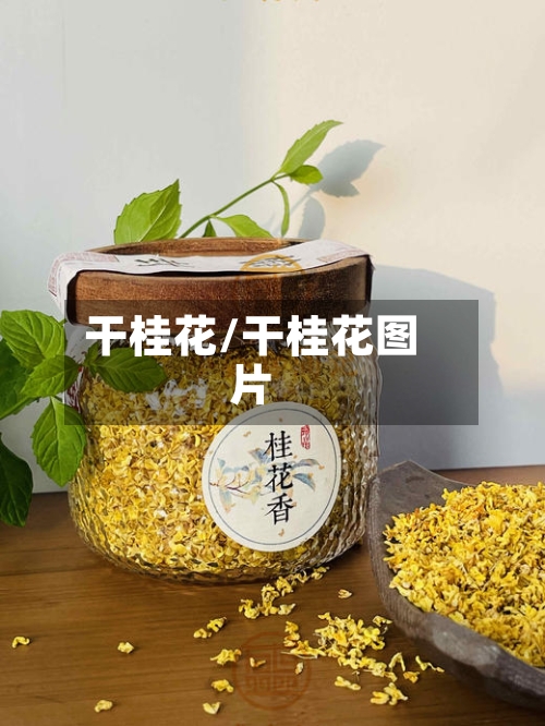 干桂花/干桂花图片
