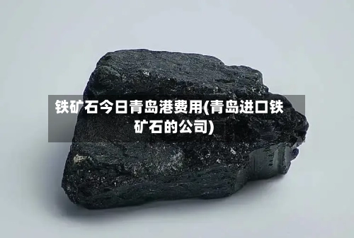 铁矿石今日青岛港费用(青岛进口铁矿石的公司)