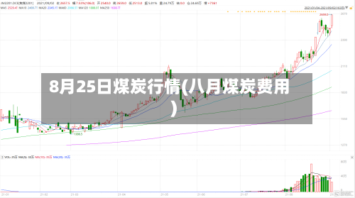 8月25日煤炭行情(八月煤炭费用)