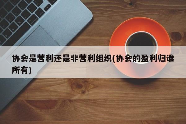 协会是营利还是非营利组织(协会的盈利归谁所有)