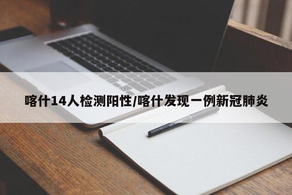 喀什14人检测阳性/喀什发现一例新冠肺炎
