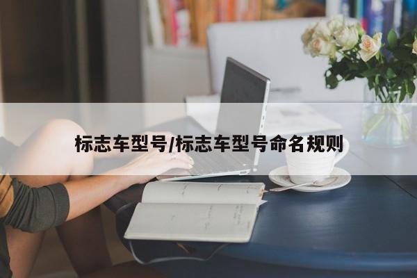 标志车型号/标志车型号命名规则