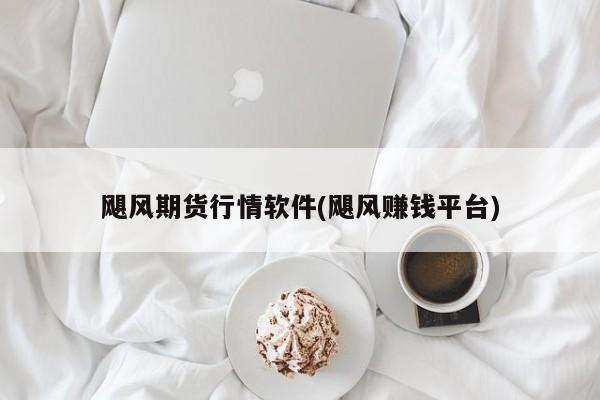 飓风期货行情软件(飓风赚钱平台)