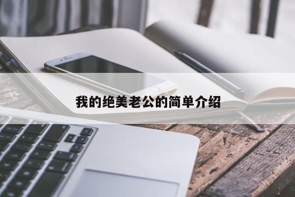 我的绝美老公的简单介绍