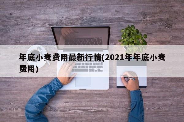 年底小麦费用最新行情(2021年年底小麦费用)